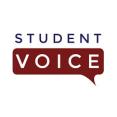 student voice visual